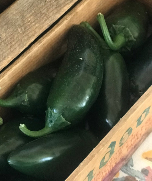 Jalapeños SOLD OUT