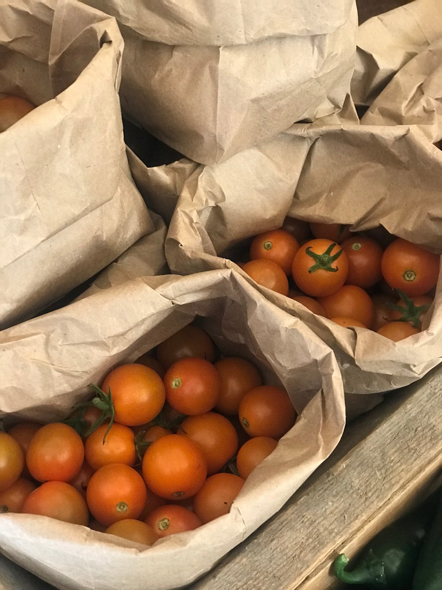 Sungold Cherry tomatoes SOLD OUT